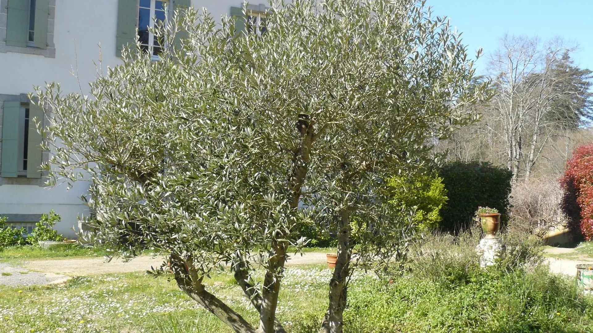 Villa Boulmia Burlats